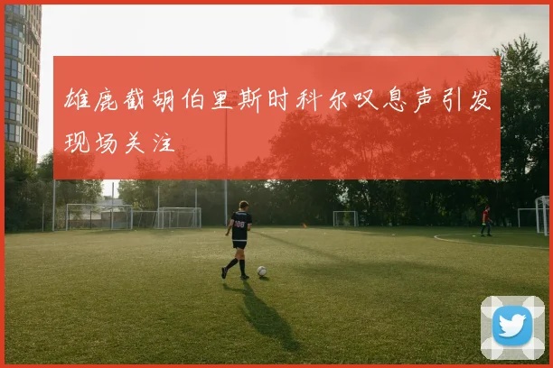 雄鹿截胡伯里斯时科尔叹息声引发现场关注